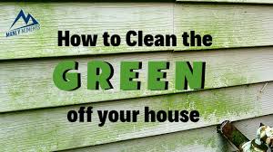 After the cleansers have a moment to set, water is widely distributed on the. How To Remove Green Algae From Vinyl Siding Fast And Easy For Less Than 10 Youtube