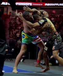 What sets certain athletes apart with exceptionally high Fight IQ,  surpassing the normal curve? What makes a genius a genius in their field?  It's essential to note that most people are not