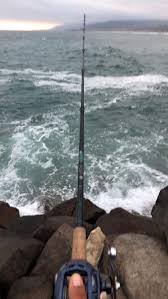We did not find results for: Daiwa Lexa Hd300xsl P Lexa 300 Type Hd Baitcasting Reel