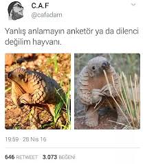 Dunyanin En Sevimli Canlilari Olan Hayvanlari Mizahina Alet Edip Gulduren 21 Mizahsor 2020 Komik Mizah Komik Seyler