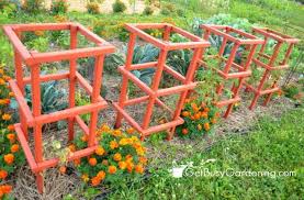 Learn how to grow and care for tomatoes by trellising the plants in this video. 32 Diy Tomato Trellis Cage Ideas For Healthy Tomatoes