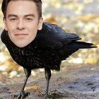 Cody Travers : r/SF6Avatars