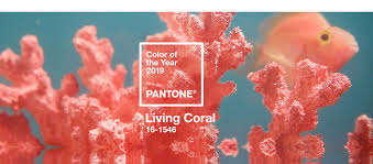 Orange mit pink ist schon seit einiger zeit eine sehr beliebte kombination. Pantone Farbe Des Jahres 2019 Korallenrot