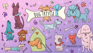 Also, see if you ca. 99 Amazing Dog Trivia Questions Answers Facts
