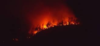 Resultado de imagen para fotos de incendios en Santiago Rodriguez