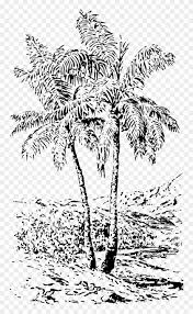 Selain menyediakan berbagai kebutuhan seperti makanan, air, dan oksigen, alam juga menyuguhkan gambar pemandangan yang sangat memanjakan mata. Trees Black And White Landscape Pohon Sagu Hitam Putih Clipart 1706393 Pikpng