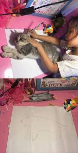 Girl Drawing Cat Meme Funny Pictures Funny Animal Clips Cute Funny Animals
