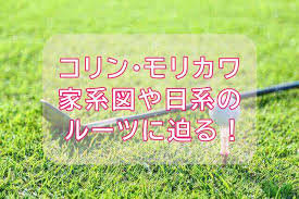 【コリン・モリカワの全英オープン優勝セッティング】 1w：sim 8.0度 diamana d+ limited 60 tx 3w：sim 14.0度 diamana d+ limited 80 tx 5w：sim2 19.0度 diamana d+ limited. Ga4lchymgkiwmm