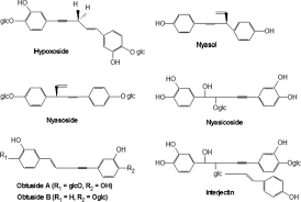 Image result for Hypoxis nyasica