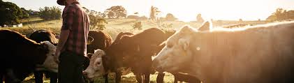 Check spelling or type a new query. The Farmers Mailbox Homepage