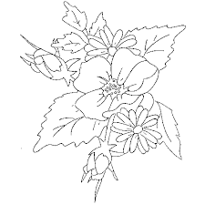 We did not find results for: Buchet De Flori Educatie Copilul Ro