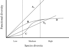 I was really sceptical about watching this, as these retro movies tend to cheap and boring. Low Functional Redundancy In Coastal Marine Assemblages Micheli 2005 Ecology Letters Wiley Online Library