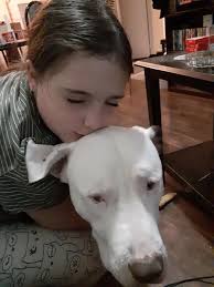 Dogs and babies have a special bond