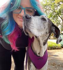 Board of Directors and Administration — Civic Orchestra of Jacksonville