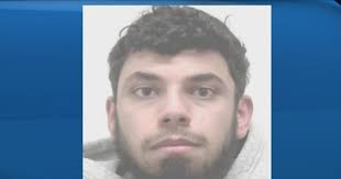 Man receives 5-year sentence for hit-and-run death of Calgary police Sgt. Andrew  Harnett : r/canada