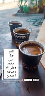 ورد أصفر طبيعة شجر اصفر غزة طبيعة جميل فلسطين القدس كلام تصوير صور ابيض صباح خير صل