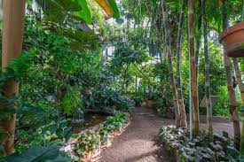 Botanischer Garten Der Universitat Wien Grune Schule Ausflugsziel In Osterreich