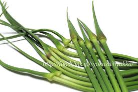 ニンニクの芽 茎にんにく の選び方と保存方法や料理 旬の野菜百科