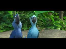 Birds Of A Feather Movie Trailer Rio Official Movie Trailer Hd Rio Movie Movie Trailers Movies