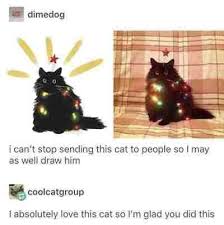 21 Tumblr Posts That You Should Share With Your Meme Partner Cute Animals Cute Funny Animals Cats