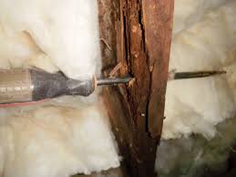 Residential pest inspections for property sales. Pest Control Bah Hum Bug Pest Termite