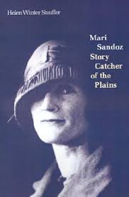 Story Catchers —The Story Catcher Writing Workshop