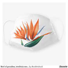 Pin On Shopping Gift Ideas Misc