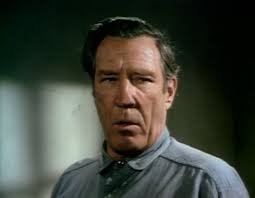 David's Little House Star Profiles and Trivia