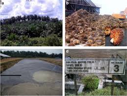 Penambahan tempoh ini untuk memudahkan penyerahan pulangan cukai yang terjejas oleh perintah kawalan pergerakan. Integrated Algal And Oil Palm Biorefinery As A Model System For Bioenergy Co Generation With Bioproducts And Biopharmaceuticals Springerlink