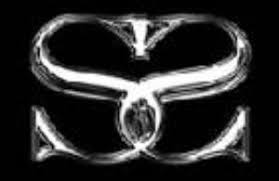 Image result for discoteche torino logo marche simboli