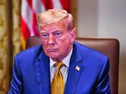 Trump's defence play: Stability for investors, questions for capitalism