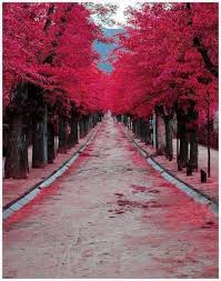 Ремкомплект уплотнительных колец кпп (s) 12js 14344+14345+14765. 14344 I Love You Forever Home Facebook