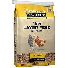 Download Producer S Pride 16 Mini Pellet Layer Chicken Feed 40 Lb 3005205 205 At Tractor Supply Co