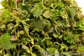 Secretul acestei retete este usturoiul folosit. Mancare De Urzici Cu Usturoi Si Smantana Diva In Bucatarie