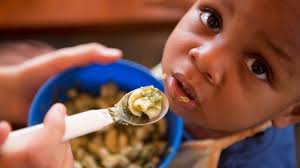 Using tree food recipes to fight off malnutrition