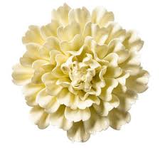 Check spelling or type a new query. Ceramic Flower Wall Decor Target