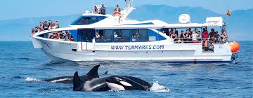 Tropical Island Wonders: Catamaran, Coastlines & Marine Life — photo 3