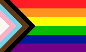 Flags that help different members of the lgbtq community feel seen and heard. The New Rainbow Pride Flag Is A Design Disaster But A Triumph For Lgbtq Inclusiveness Quartz