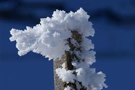 Huge thanks to frost for allowing me to use it. Frost Noun Definition And Synonyms Macmillan Dictionary