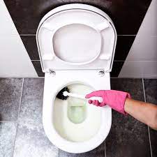 Clean The Toilet The Easy Way Toilet Cleaning Toilet Cleaning