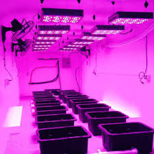 Full Spectrum Led Grow Light Venesun Apollo 8 Plant Grow Lamp High Efficiency Grow Led For Indoor Hydroponics Greenlit Grow