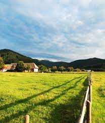 Der spielzeugladen papagena im herzen freiburgs, direkt neben dem berühmten „krokodil, lädt zum stöbern ein. Pensionen In Freiburg Bei Hrs Holidays Gunstig Buchen