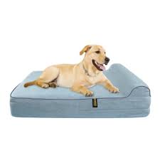 The raised bed consists of four strong legs and fabric that has been pulled tight across the frame to support your dog's body. Getting The Right Bed For Your Old Sizeable Canine Friend Pet Health Caregetting The Right Bed For Your Old Sizeable Canine Friend