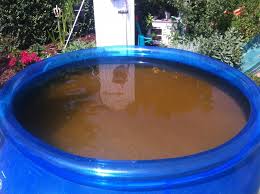Braunes Wasser Poolwasser Pool Wasser Pool