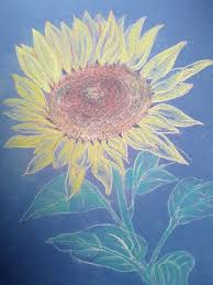 Sunflowers are beautiful in so many ways. Sunflower Drawing By Diana Editoiu Saatchi Art