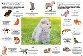 Desigur, majoritatea telespectatorilor noștri știu că cele mai mari creaturi au trăit pe planeta noastră cu milioane de ani în urmă. Animale Atlas Ilustrat Bilingv Roman German Buchuria