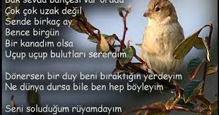 Gulser Unalan Adli Kullanicinin Hatirlanacak Sozler Panosundaki Pin Hayatin Anlami Guzel Soz Bahce