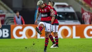 Career stats (appearances, goals, cards) and transfer history. Ihavuzzxcrjqjm