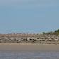 Nightcliff Seabreeze Festival event image