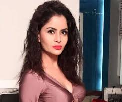 Actress, director ,producer and an engineer. Gehana Vasisth Arrested For Shooting Uploading Obscene Videos To Be Produced Before Court On Monday